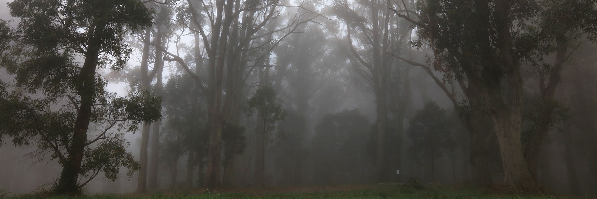 Creative Disaster Recovery for Weather-Affected Communities